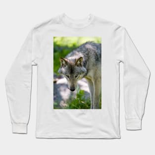 Gray Wolf Long Sleeve T-Shirt
